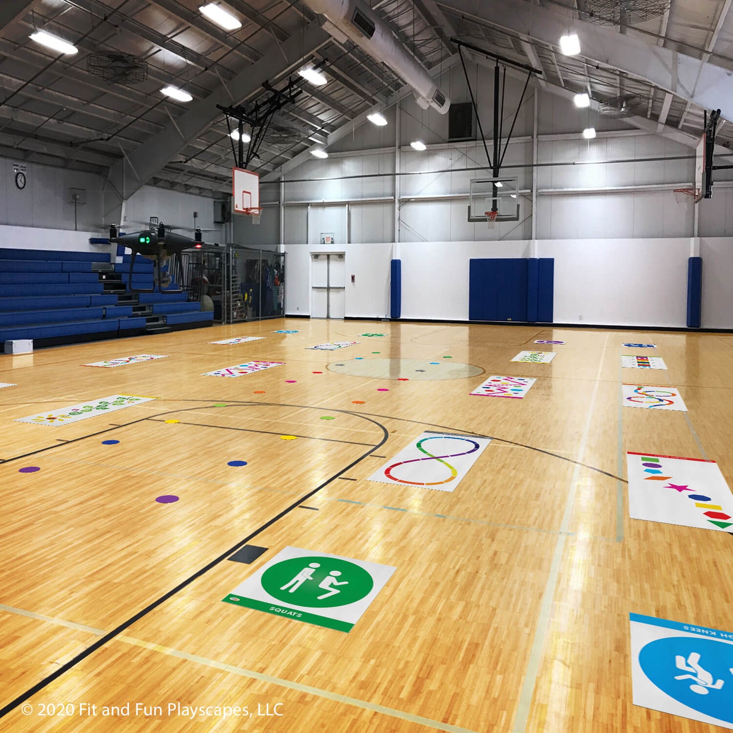 P.E. Assistance Roll-Out Activities® Package