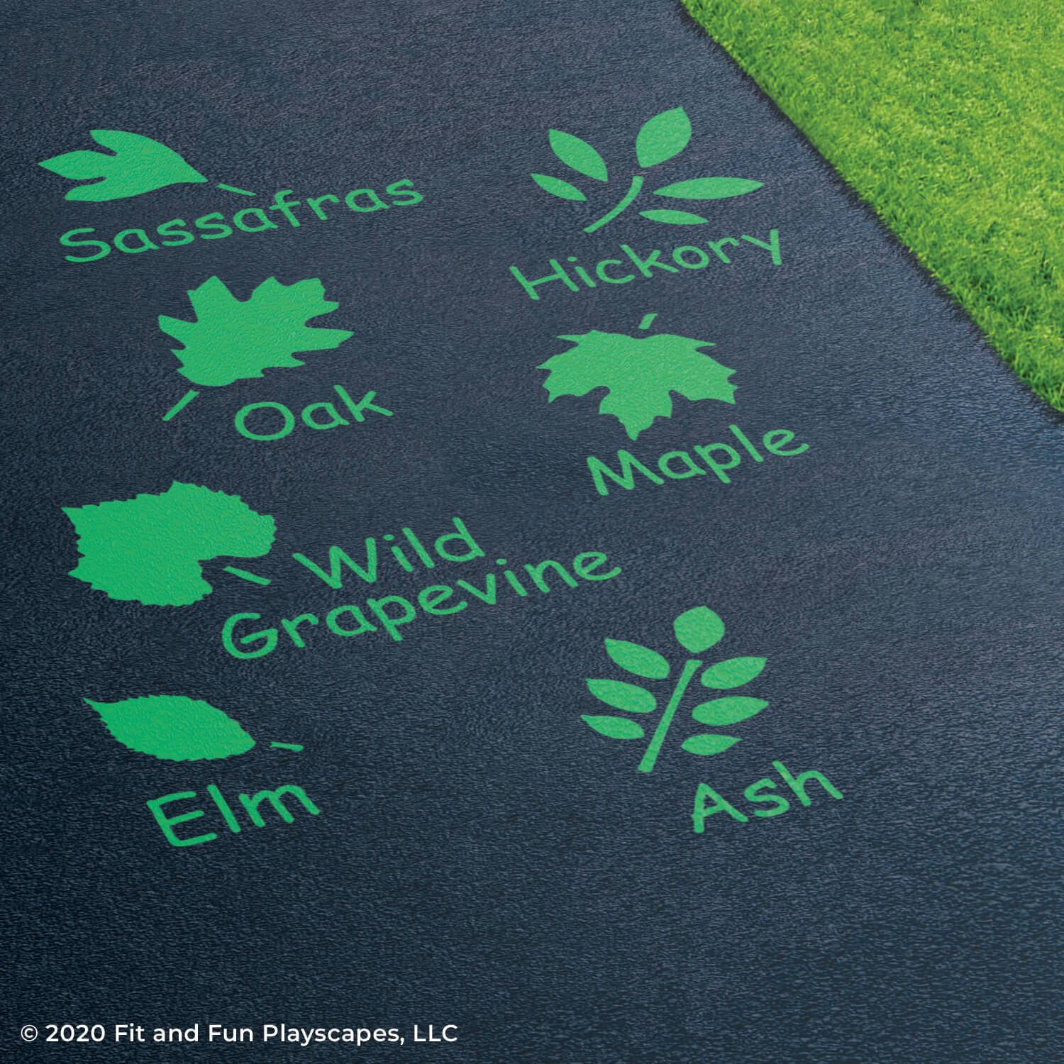 Large Leaf Set Reusable Stencil